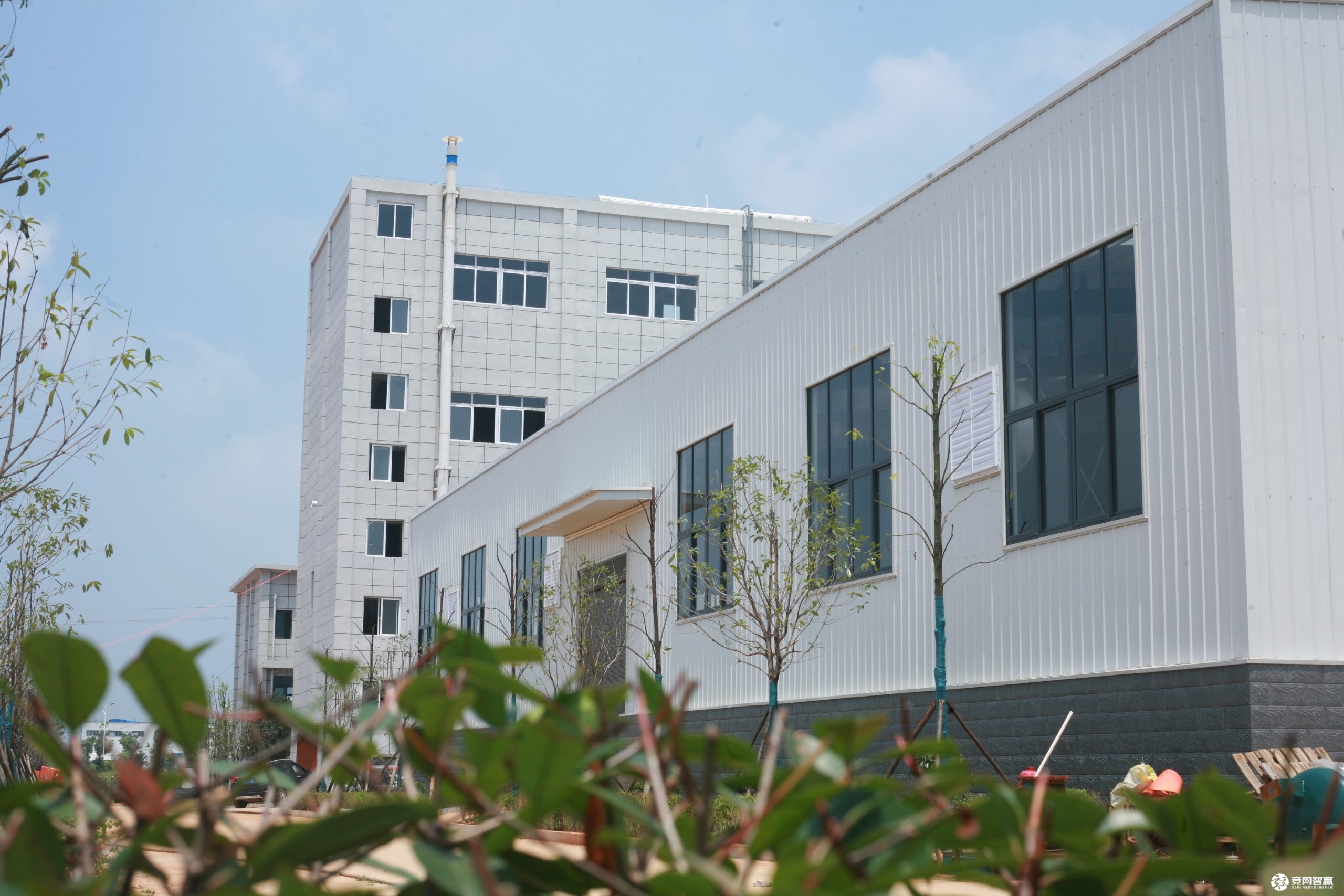 2021年氯化銨市場(chǎng)簡(jiǎn)述 2021年氯化銨市場(chǎng)簡(jiǎn)述