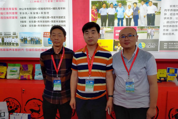 沈陽展會--學習中成長 沈陽展會--學習中成長