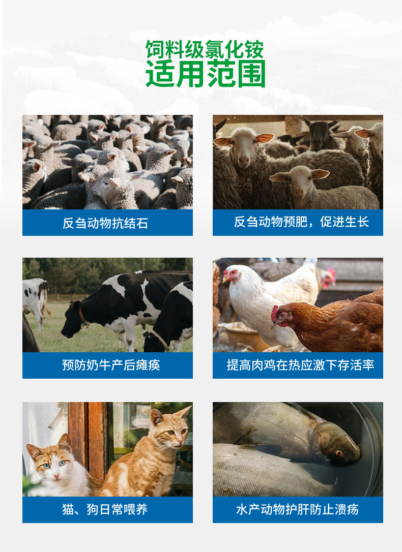 飼料添加劑氯化銨 飼料添加劑氯化銨